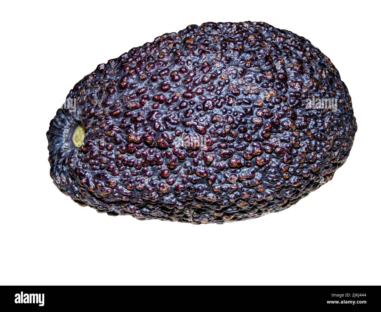 avocado isolated on white background Stock Photo