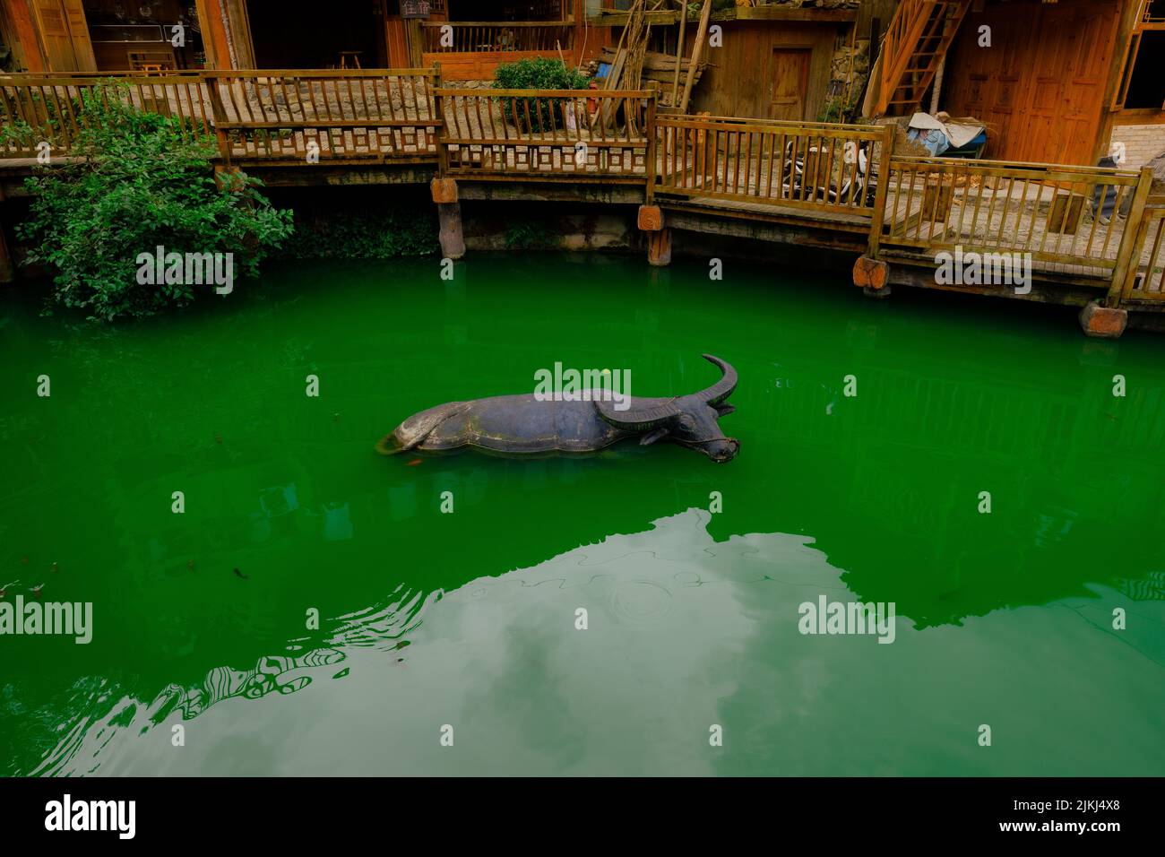 Blob fish hi-res stock photography and images - Alamy