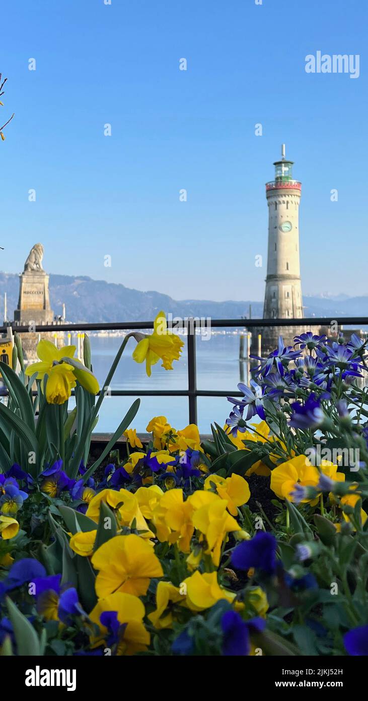The Lighthouse Bodensee Lindau and Bavarian entrance to Lion's Harbor view behind flowers Stock