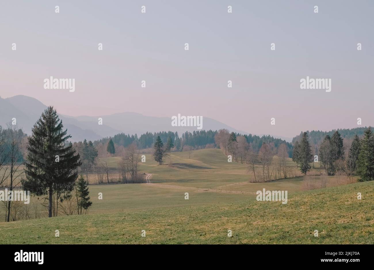 Germany, Bavaria, landscape, meadow, fields, trees Stock Photo