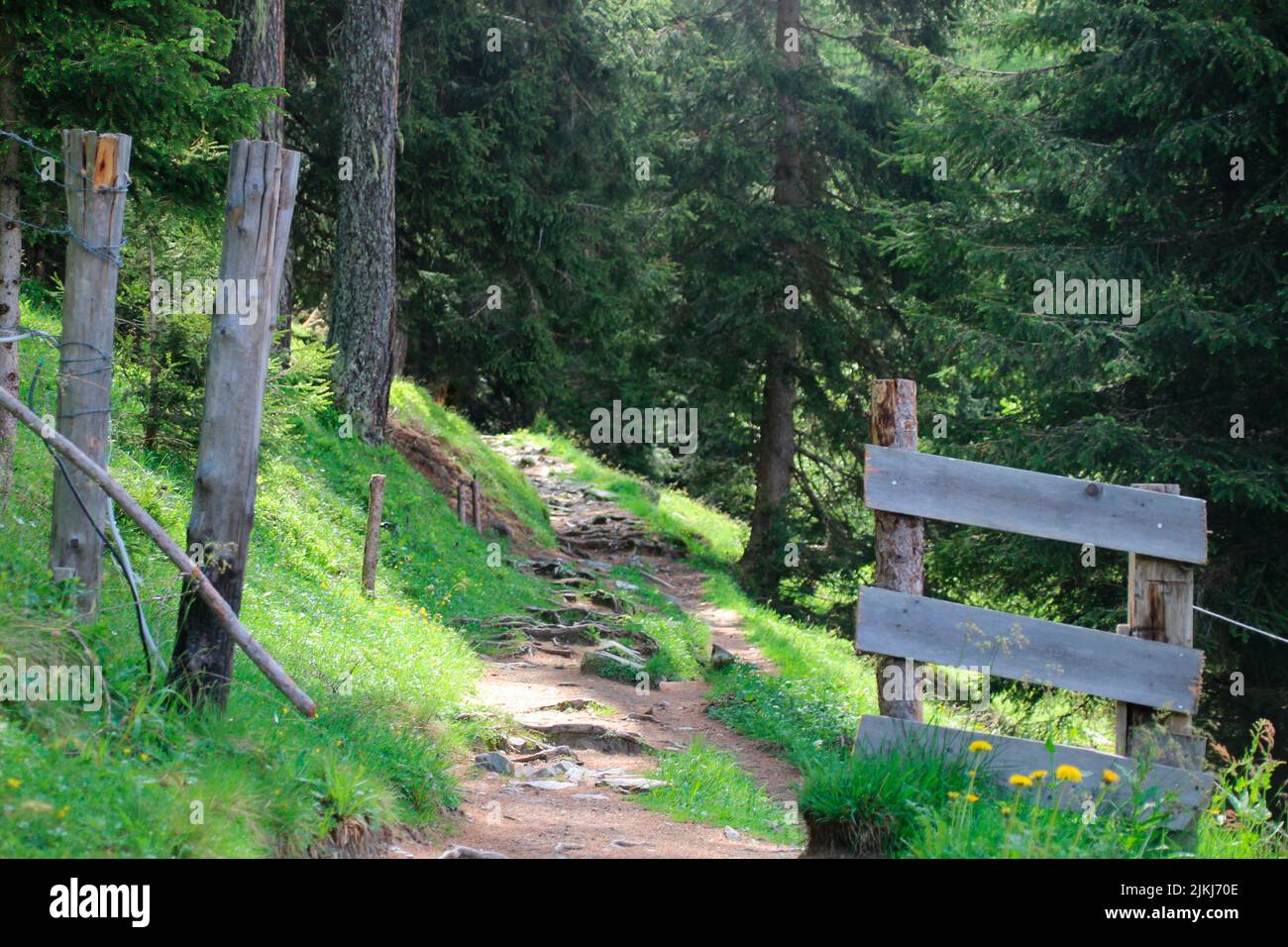 Pasture gate, gate during hike at Klausberg near Steinhaus in Ahrntal, Pustertal, South Tyrol Italy Stock Photo