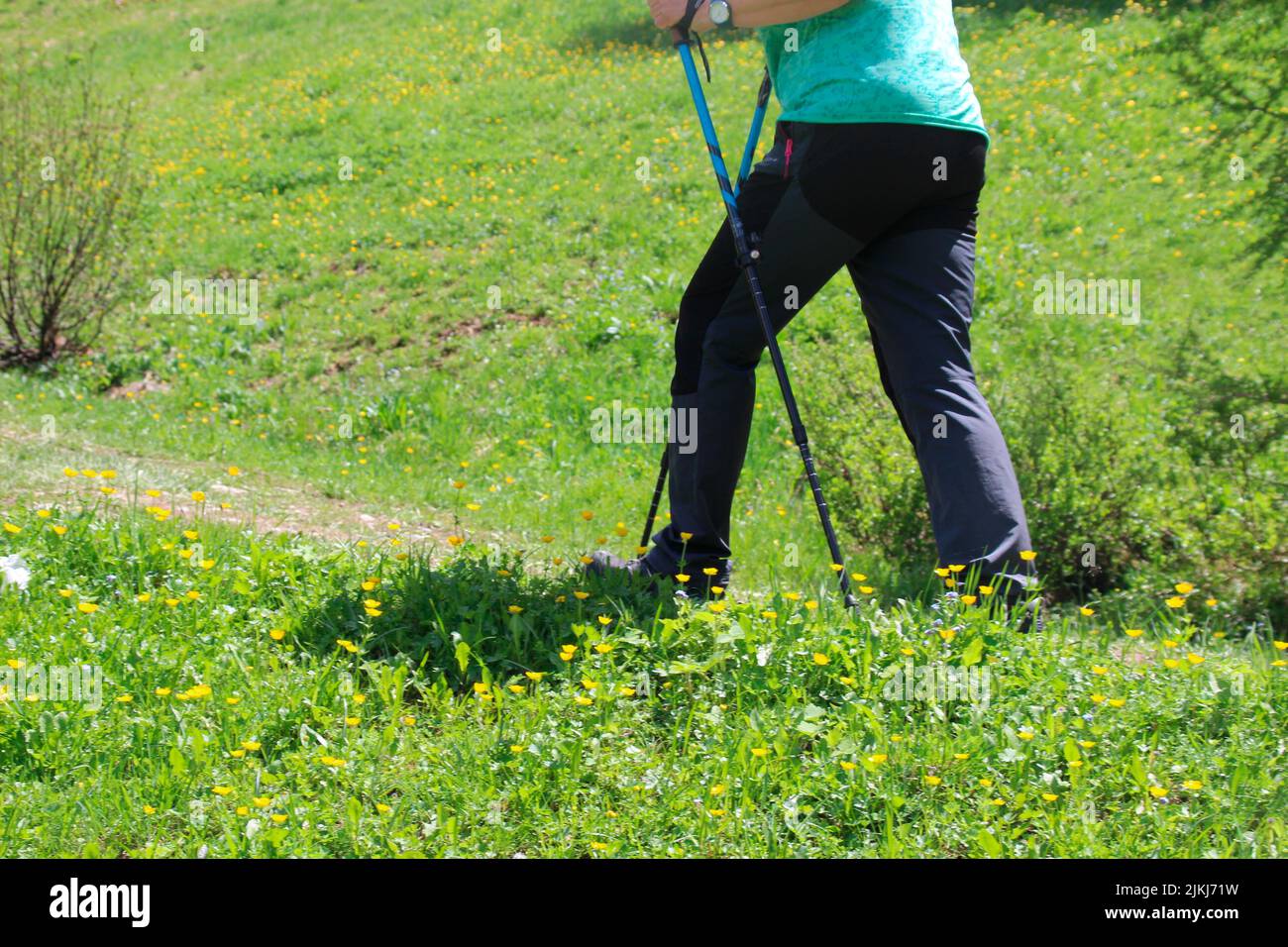 Middle-aged woman with hiking poles hiking in South Tyrol, Ahrntal, Klausberg, Italy, Stock Photo