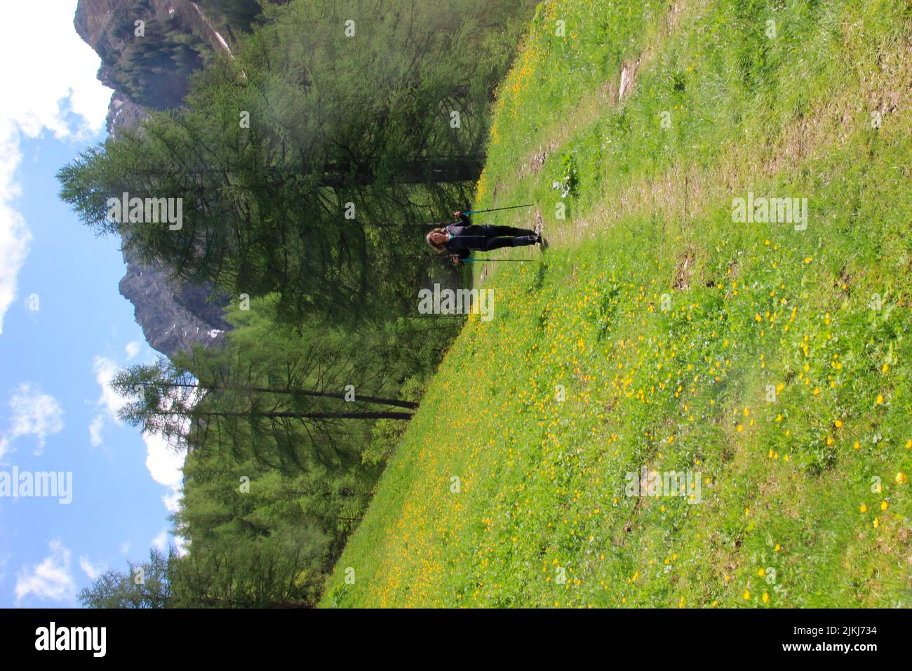 Middle-aged woman hiking on Klausberg mountain near Steinhaus in Ahrntal valley, Pustertal valley, South Tyrol Italy Stock Photo