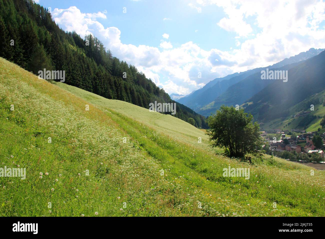 Field path near Steinhaus in Ahrntal, Pustertal, South Tyrol, Italy, Stock Photo