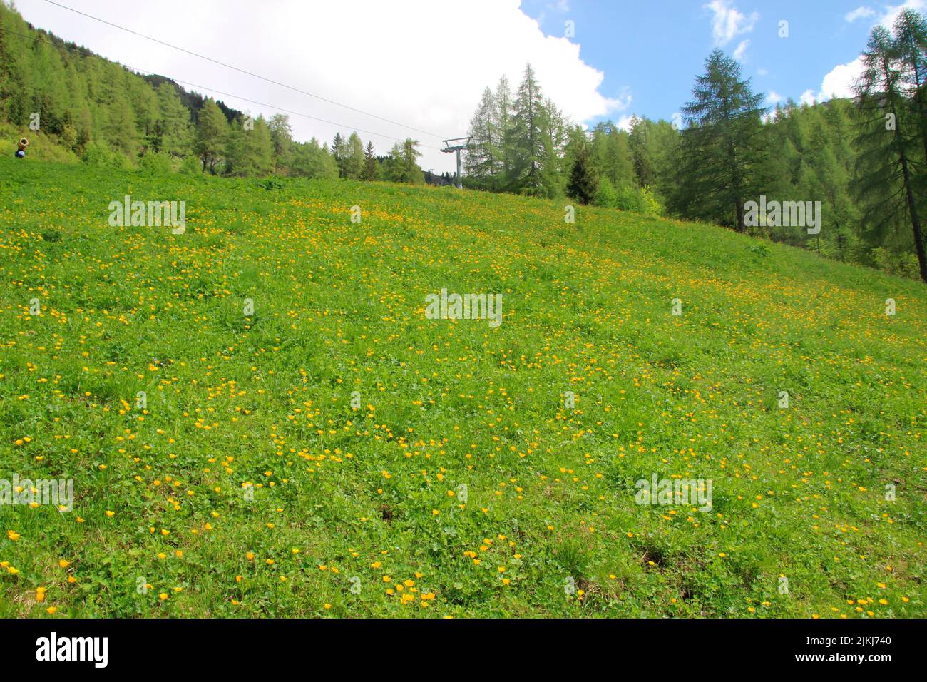 Hiking at Klausberg near Steinhaus in Ahrntal, Pustertal, South Tyrol Italy Stock Photo