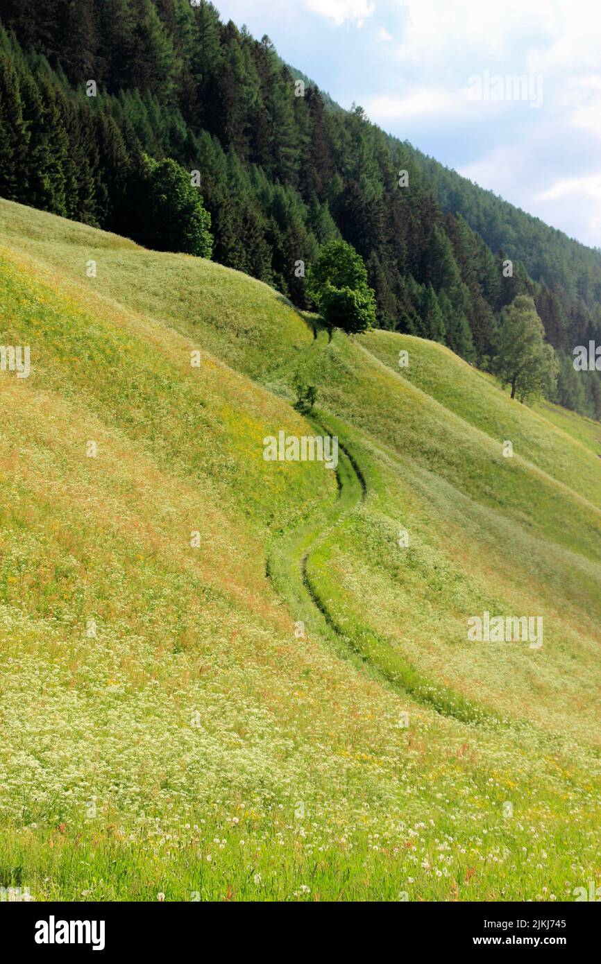 endless dirt road near Steinhaus in Ahrntal, Pustertal, South Tyrol, Italy, Stock Photo