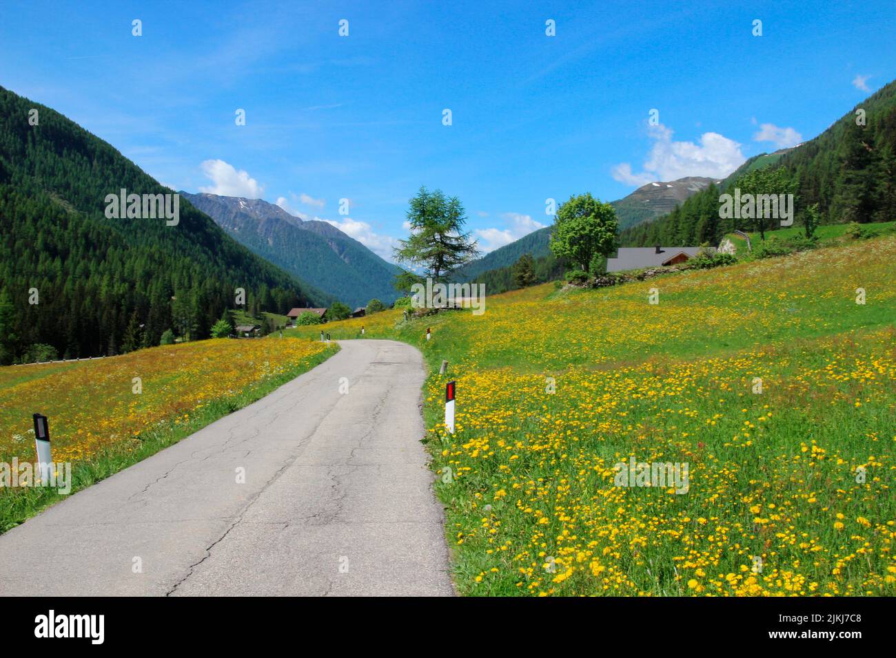 Road from Prettau to Kasern, Ahrntal, Province of Bolzano, South Tyrol, Italy. Stock Photo