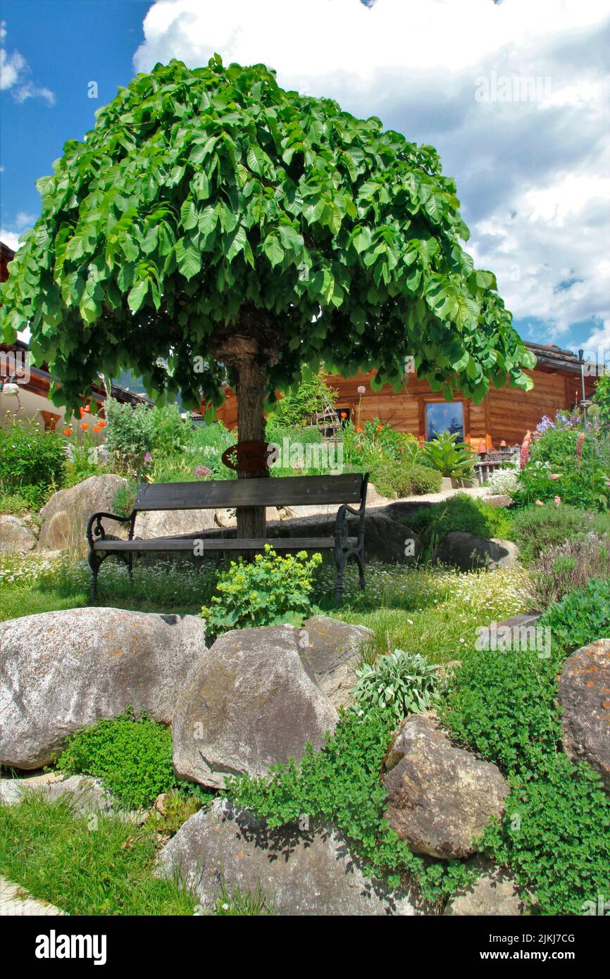 Entrance, entrance area, bench, Italy South Tyrol South Tyrol Pustertal, Pfalzen, herb garden of the company Bergila, (medicinal herbs and essential oils in organic cultivation) Stock Photo