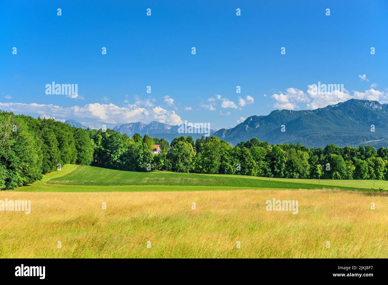 Germany, Bavaria, Tölzer Land, Wackersberg, view from north to ...