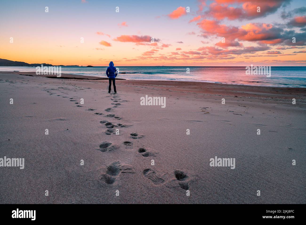 A back shot of a male walking on Ocean beach against dusk sky in Hawke's Bay, New Zealand Stock Photo