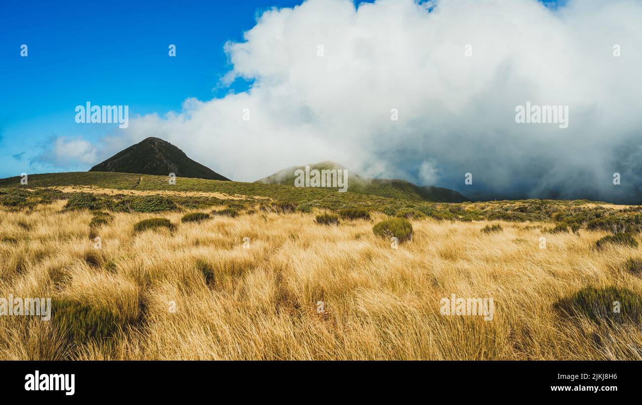 A beautiful view of the famous Mount Taranaki in New Zealand Stock