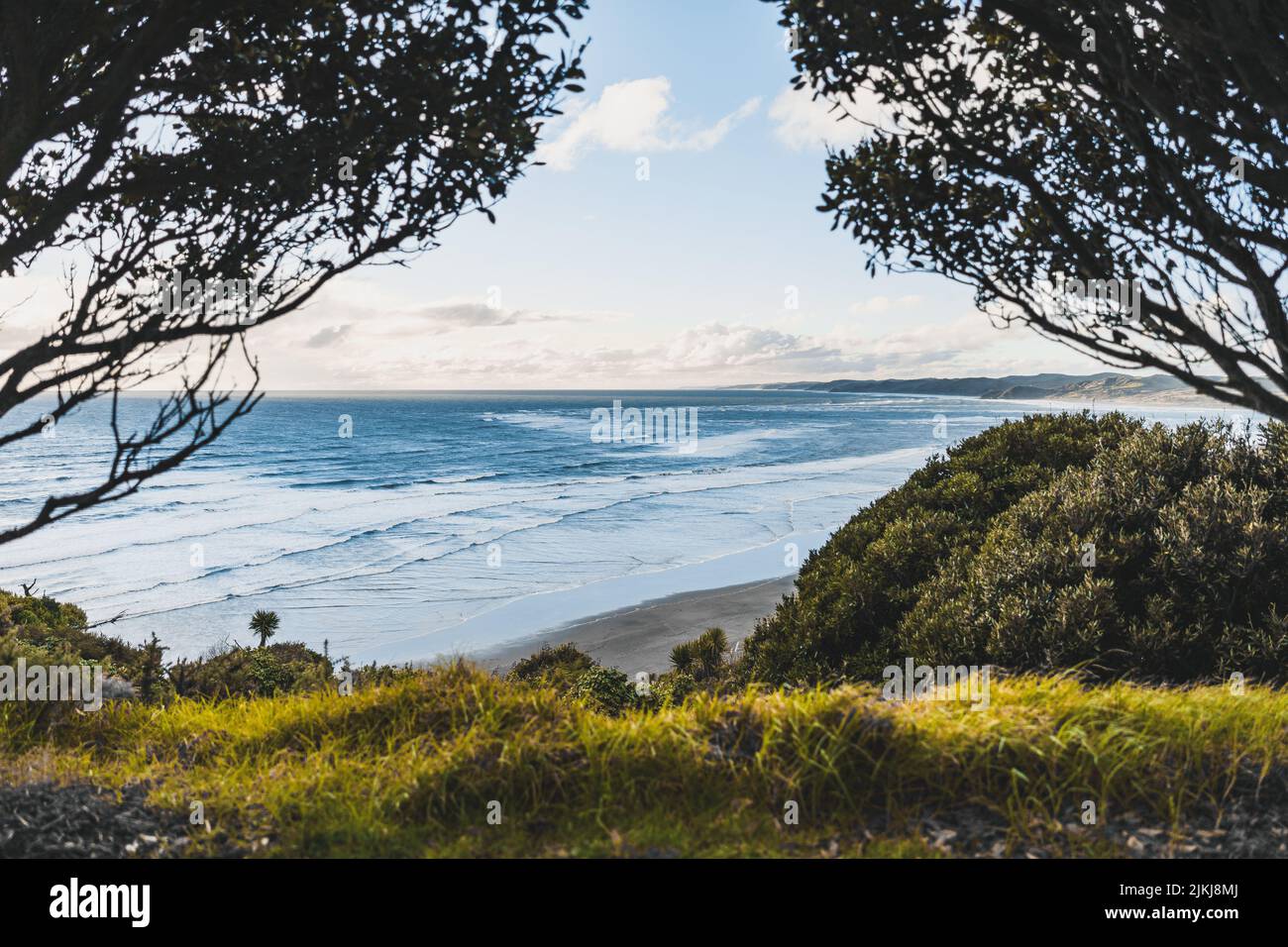 A beautiful landscape view of the plants and trees on cliffs against blue sky at Ngarunui Beach, Raglan, New Zealand Stock Photo