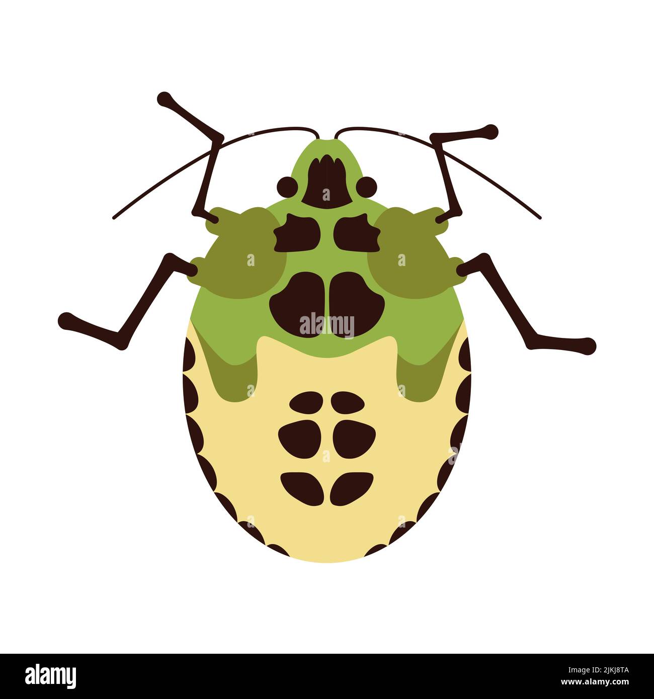 Green and yellow beetle top view isolated on a white background. Flat ...