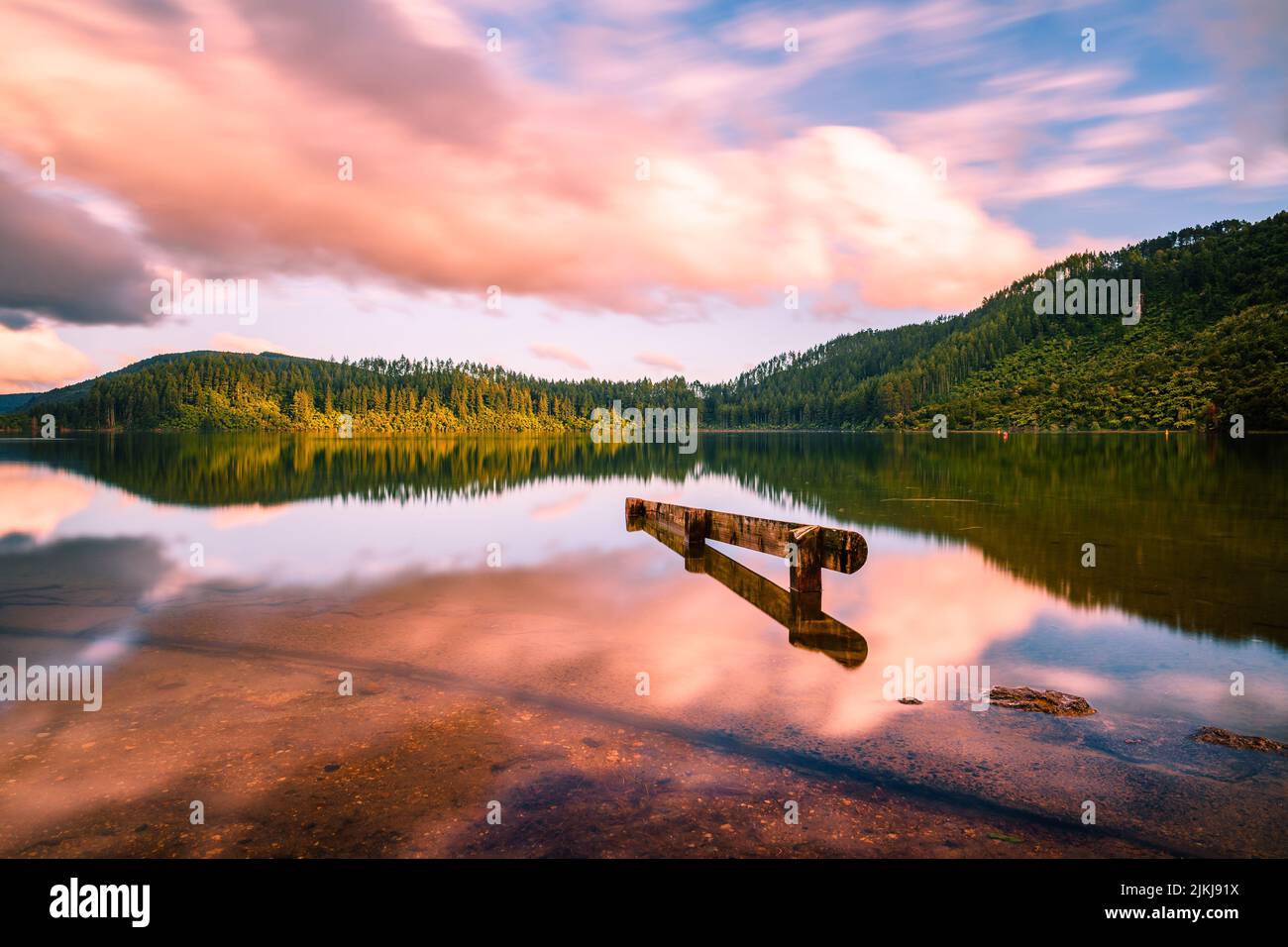 A mesmerizing view of a calm lake surrounded by trees in Lake Tarawera