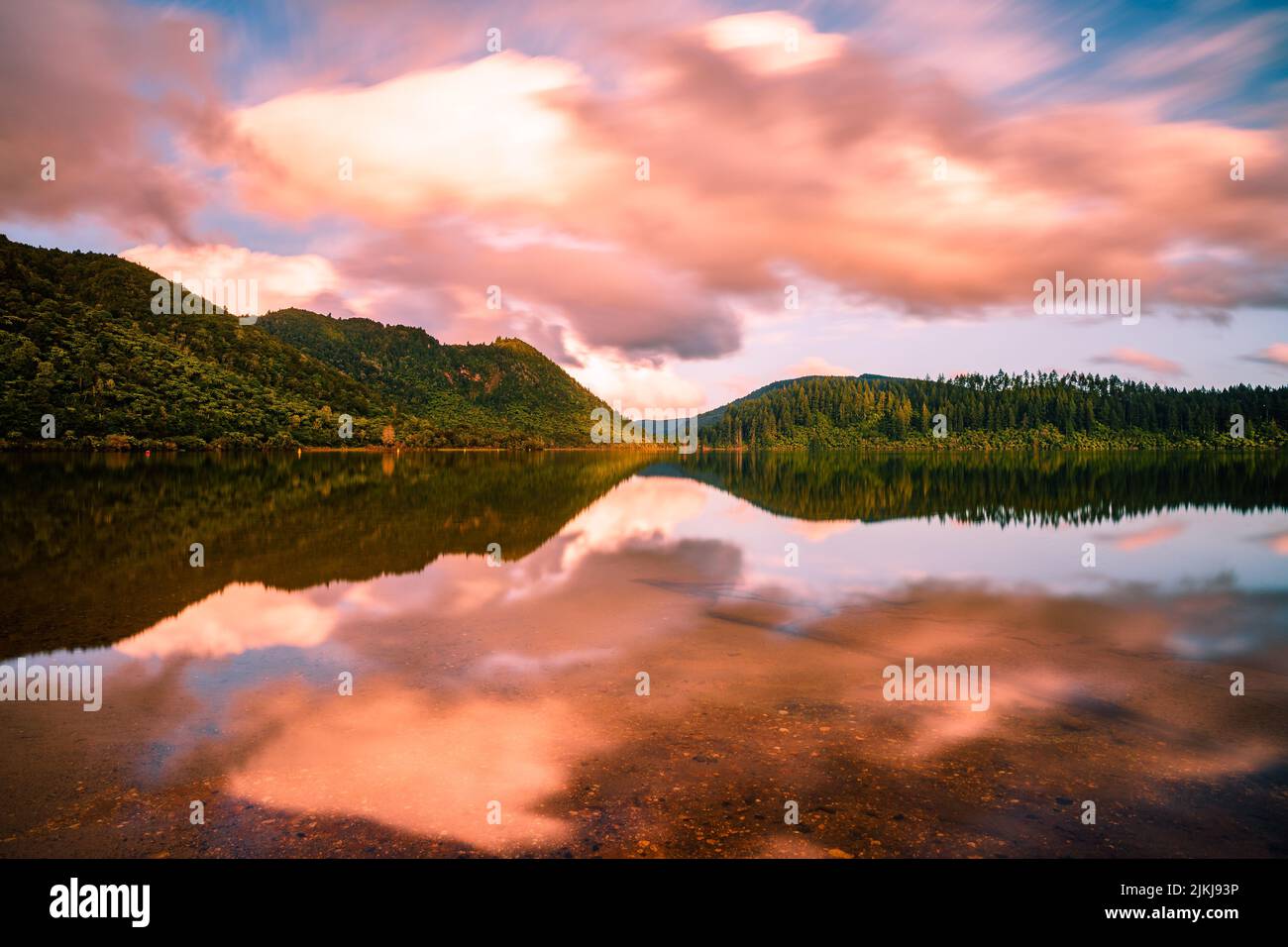 A mesmerizing view of a calm lake surrounded by trees in Lake Tarawera ...