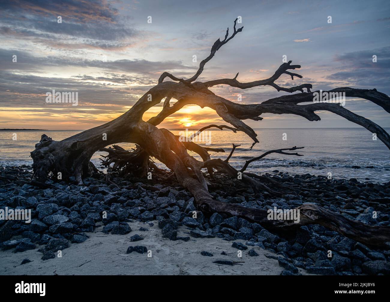 Getting the pack hi-res stock photography and images - Alamy