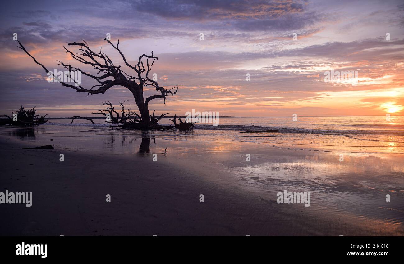 Gettingup hi-res stock photography and images - Alamy