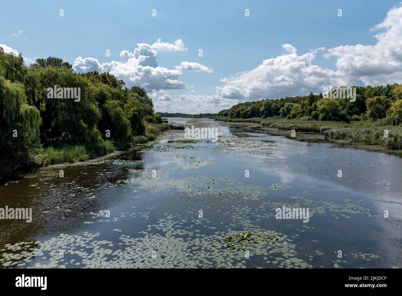 A natural landscape of a river surrounded by bushes and trees under the ...