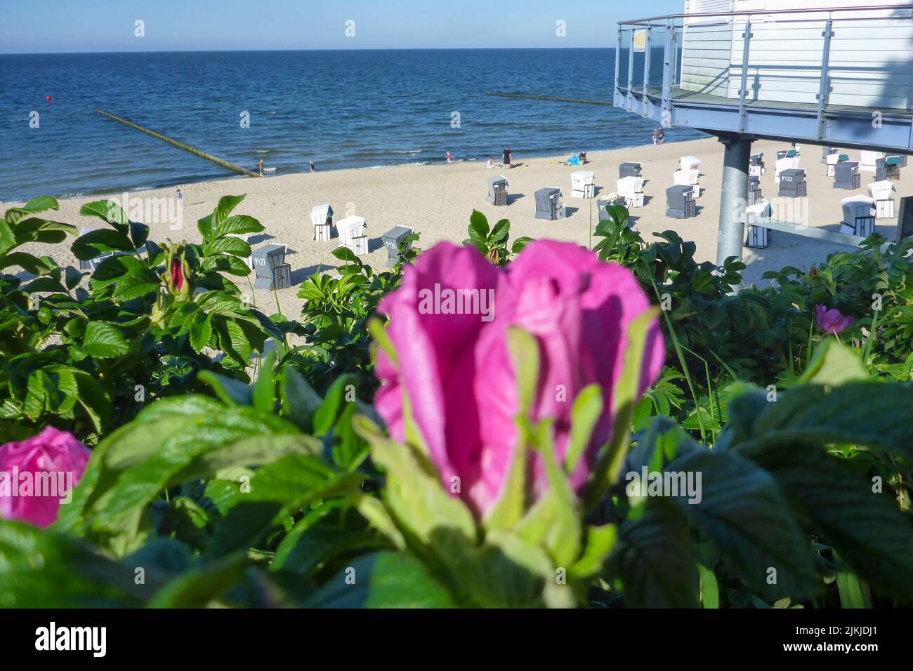Germany, MecklenburgWestern Pomerania, Baltic Sea, Pomeranian Bay