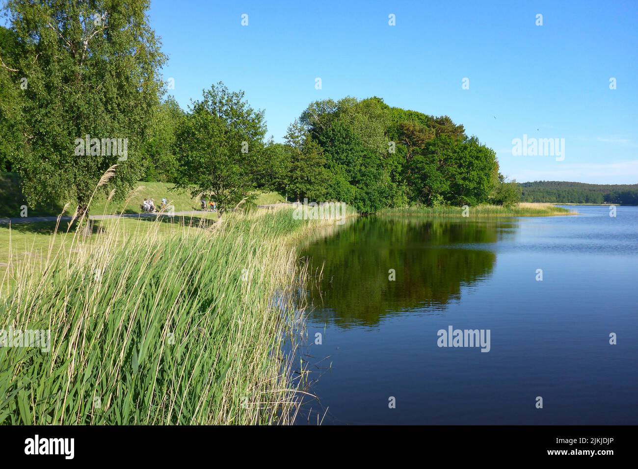Germany, Mecklenburg-Western Pomerania, Baltic Sea, Pomeranian Bay, Usedom Island, Kölpinsee Stock Photo