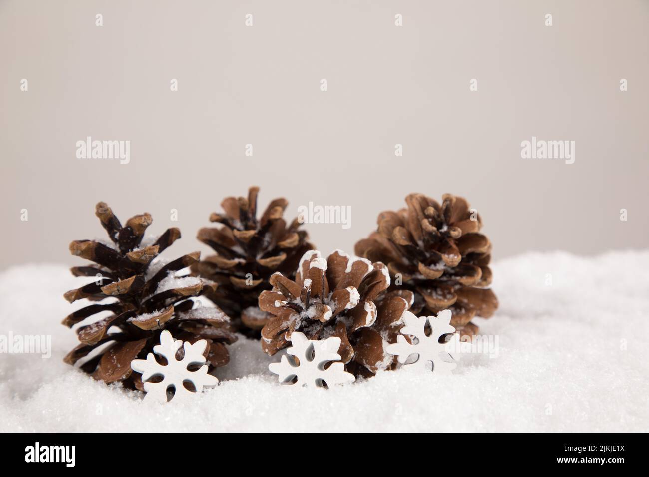 Pine cones snow hi-res stock photography and images - Alamy