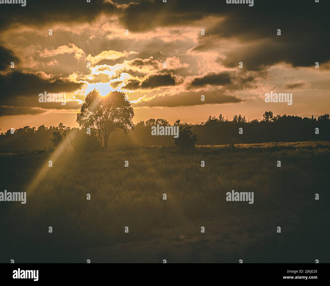 Beautiful summer sunset over field hi-res stock photography and images ...