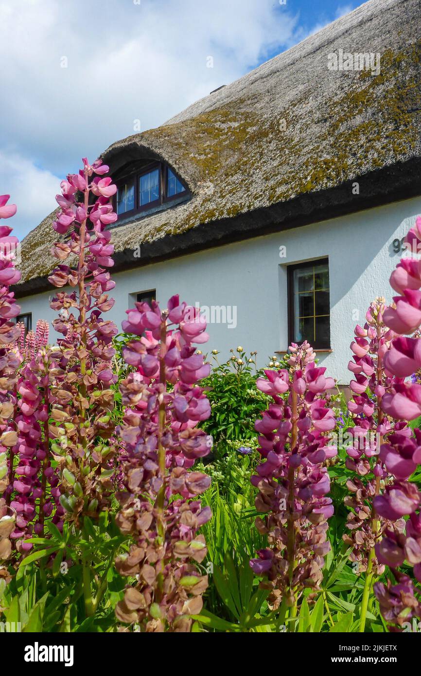 Germany, MecklenburgWestern Pomerania, Baltic Sea, Rügen Island