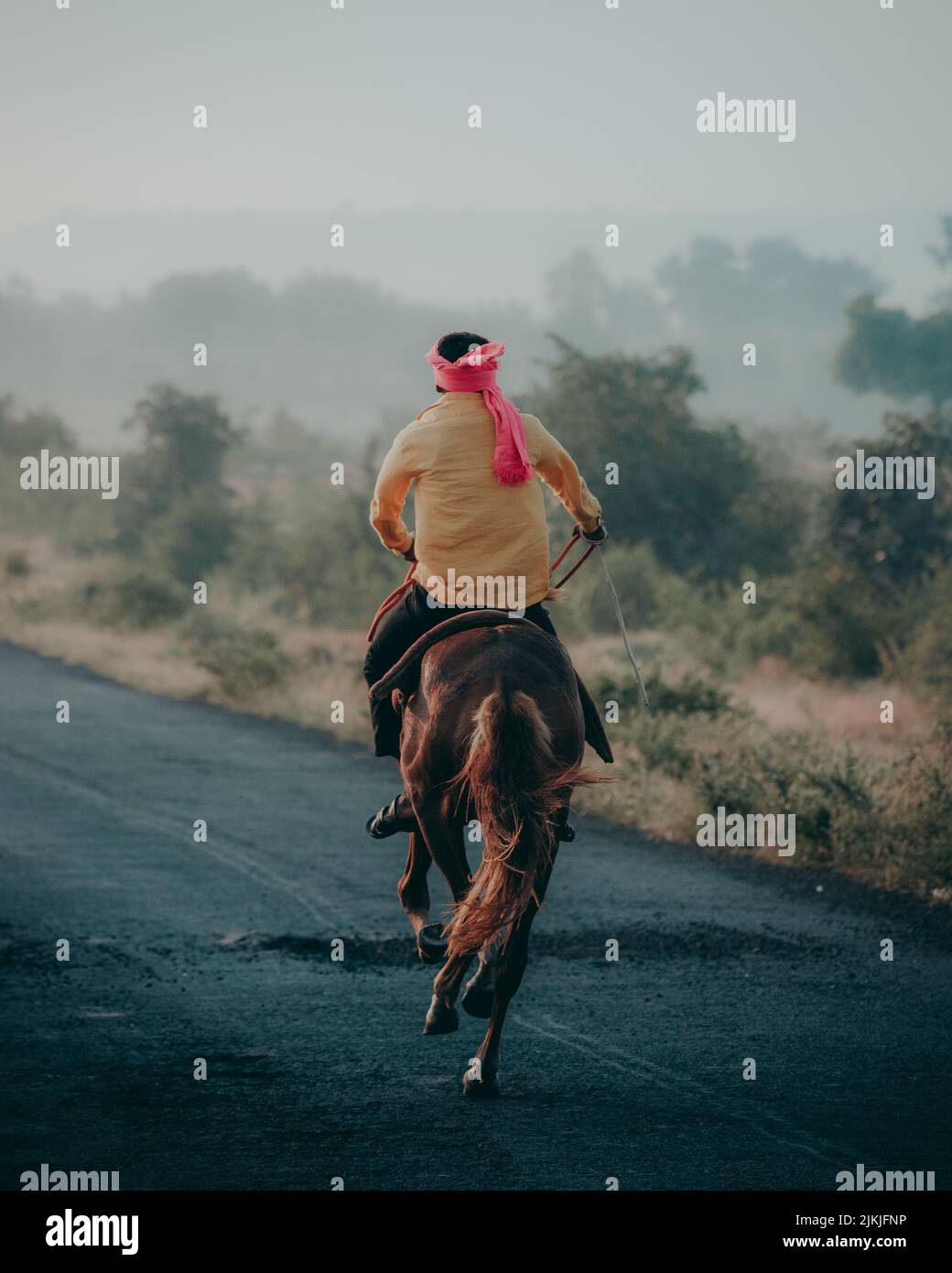 A rear view of a male riding a horse on the road Stock Photo Alamy