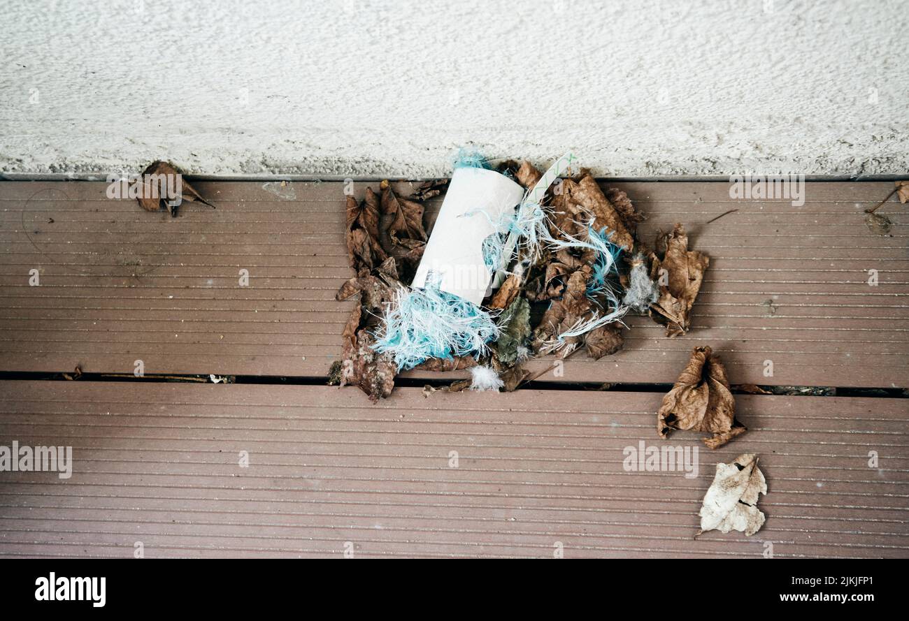 A top view of dry leaves and paper waste laying on a wooden surface
