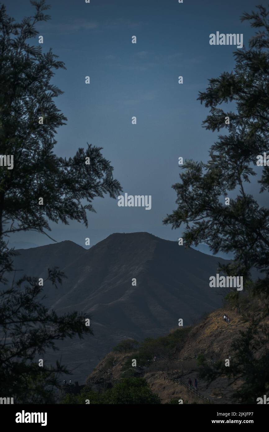 A vertical shot of mountain ranges seen through trees Stock Photo