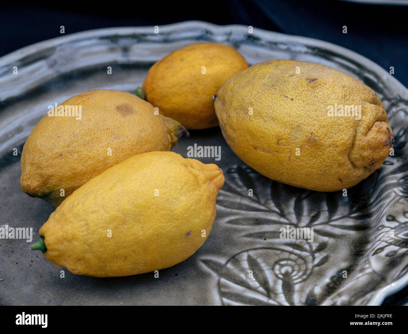 A closeup of four lemons on a decorative plate Stock Photo