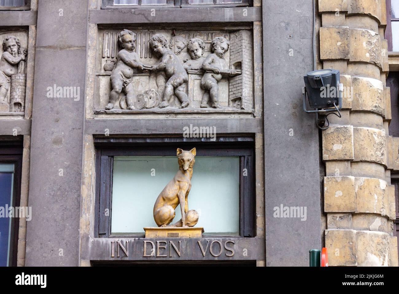 Belgium fox hi-res stock photography and images - Alamy