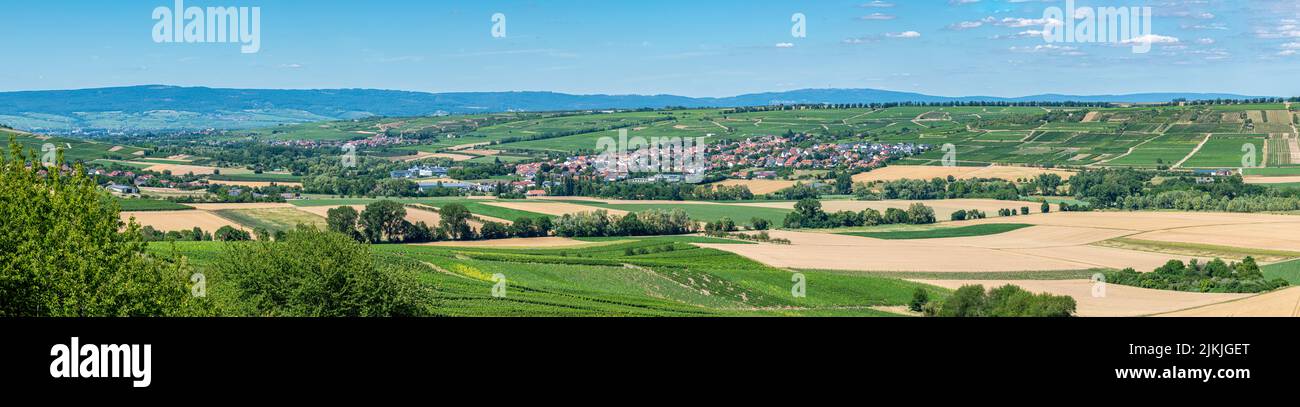 Germany, Rhineland-Palatinate, the Selz valley in Rheinhessen, view from the Schick Pavilion viewpoint nearugenheim, a typical Rheinhessen wine region, from Ingelheim to Stadecken-Elsheim Stock Photo