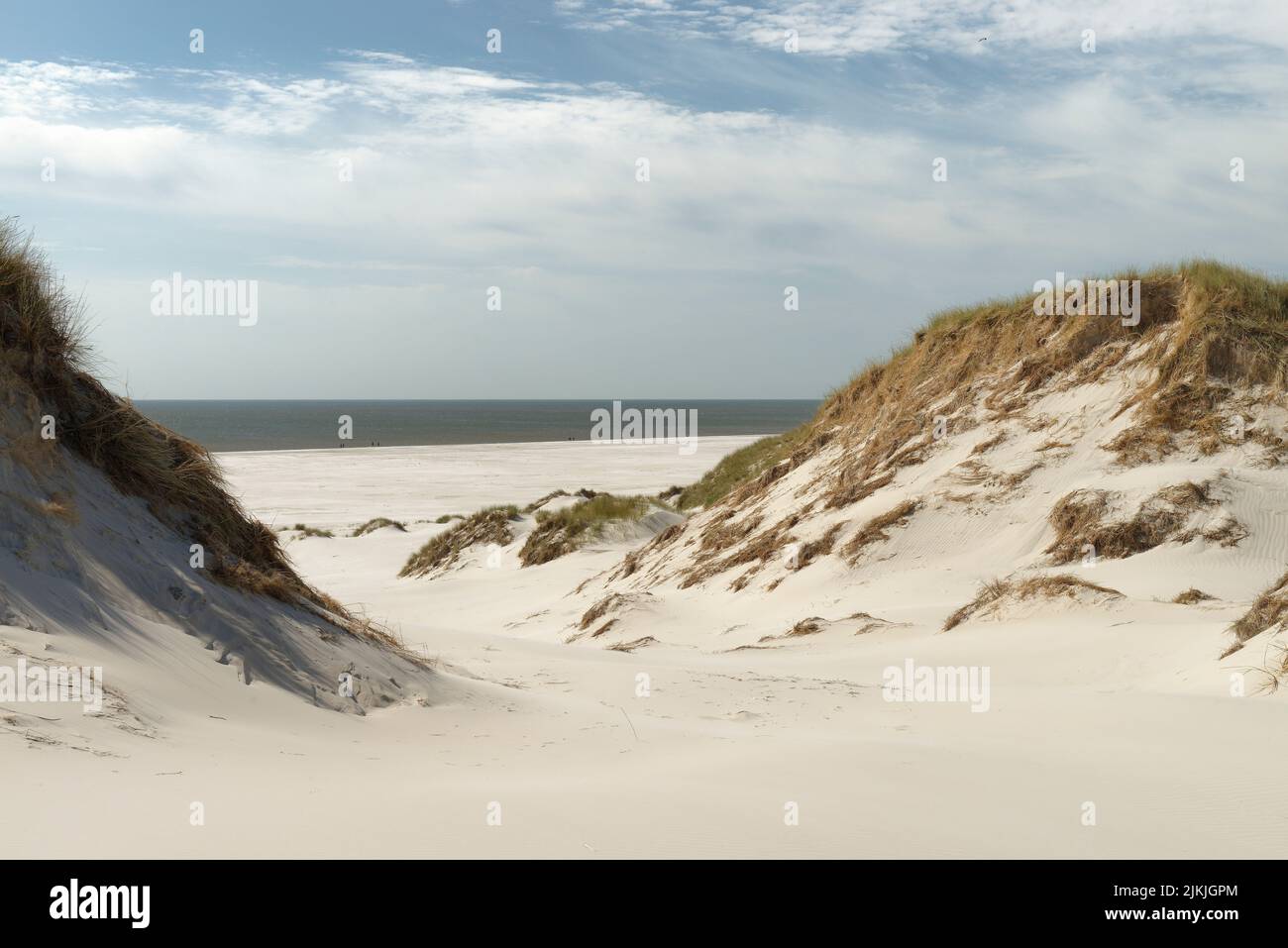 Dune landscape near Süddorf, Süddorf, Amrum, North Frisia, North Sea, North Frisian Islands, Wadden Sea National Park, Schleswig- Holstein Wadden Sea National Park, Schleswig-Holstein, Germany Stock Photo
