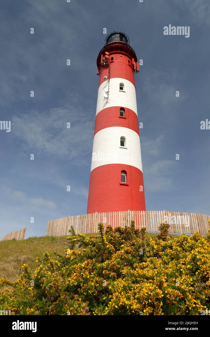 View of the lighthouse of Amrum, Amrum, North Frisia, North Sea, North Frisian Islands, Wadden Sea National Park, Schleswig- Holstein Wadden Sea National Park, Schleswig-Holstein, Germany Stock Photo