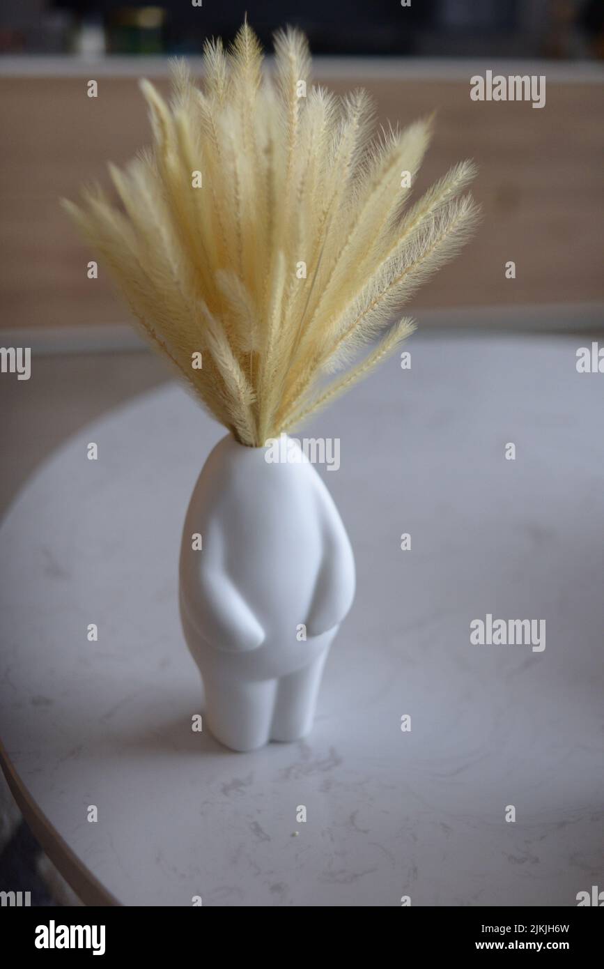 Bunny tails hires stock photography and images Alamy