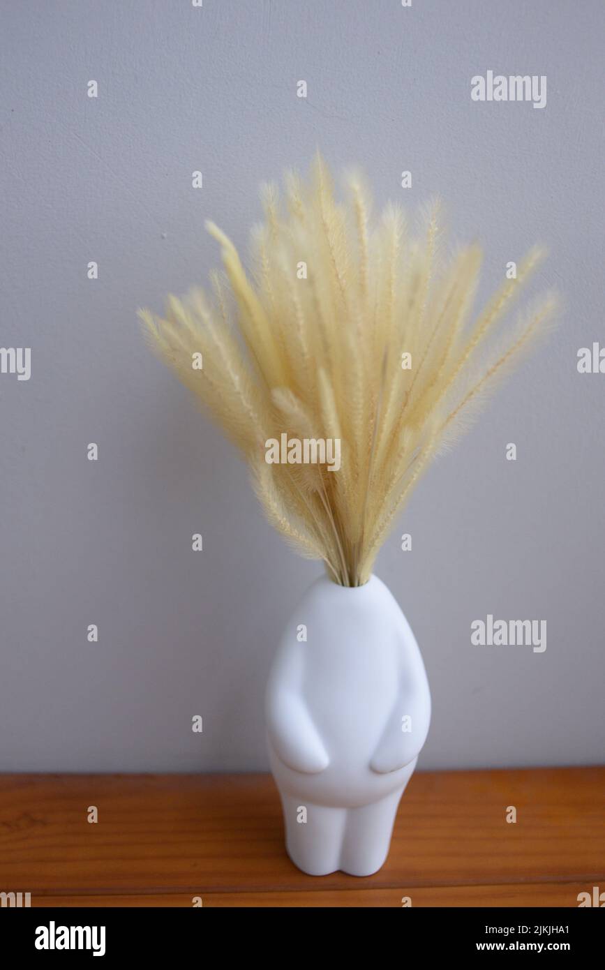 Bunny tails hires stock photography and images Alamy