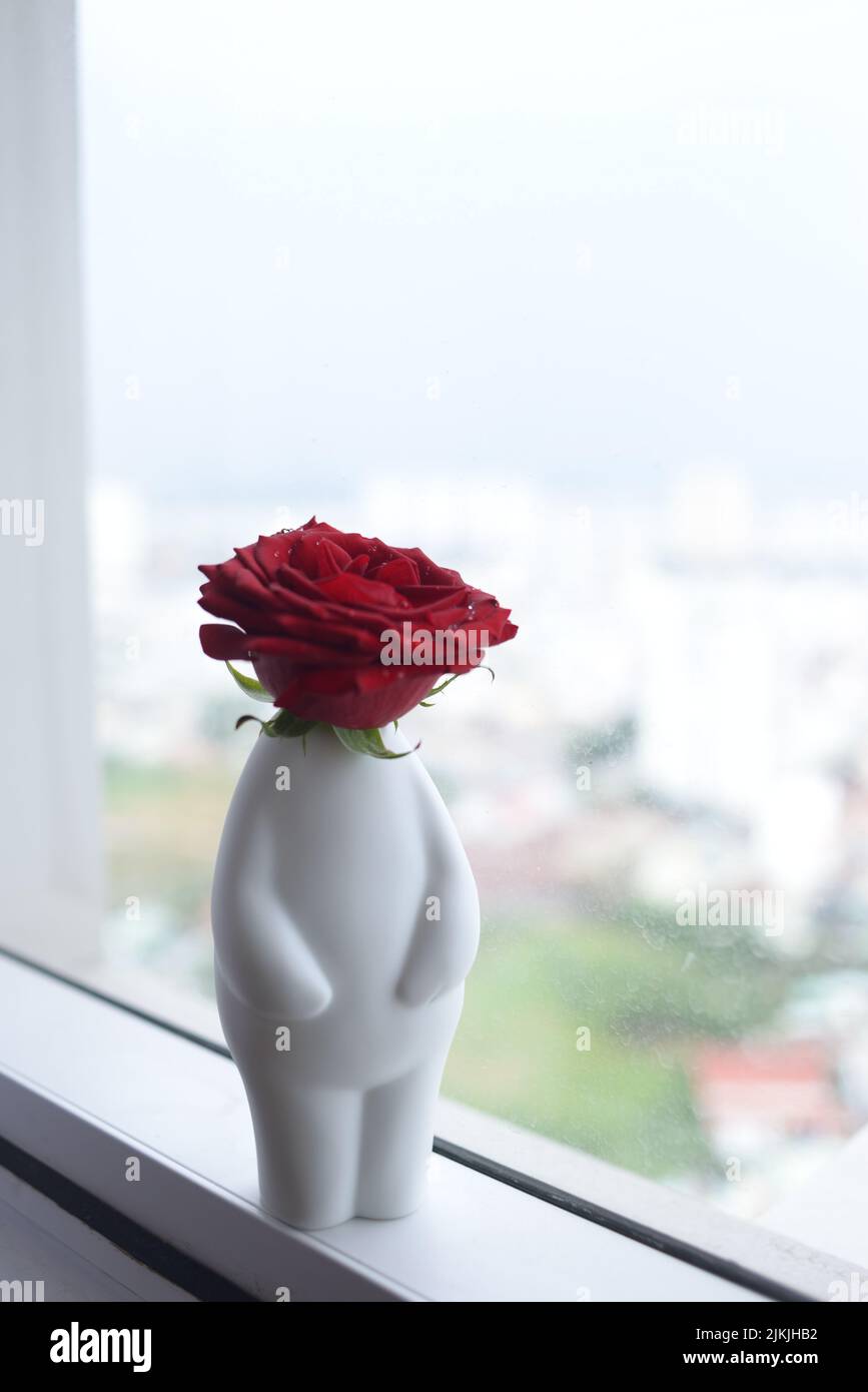 A cute white vase with a single red rose Stock Photo - Alamy