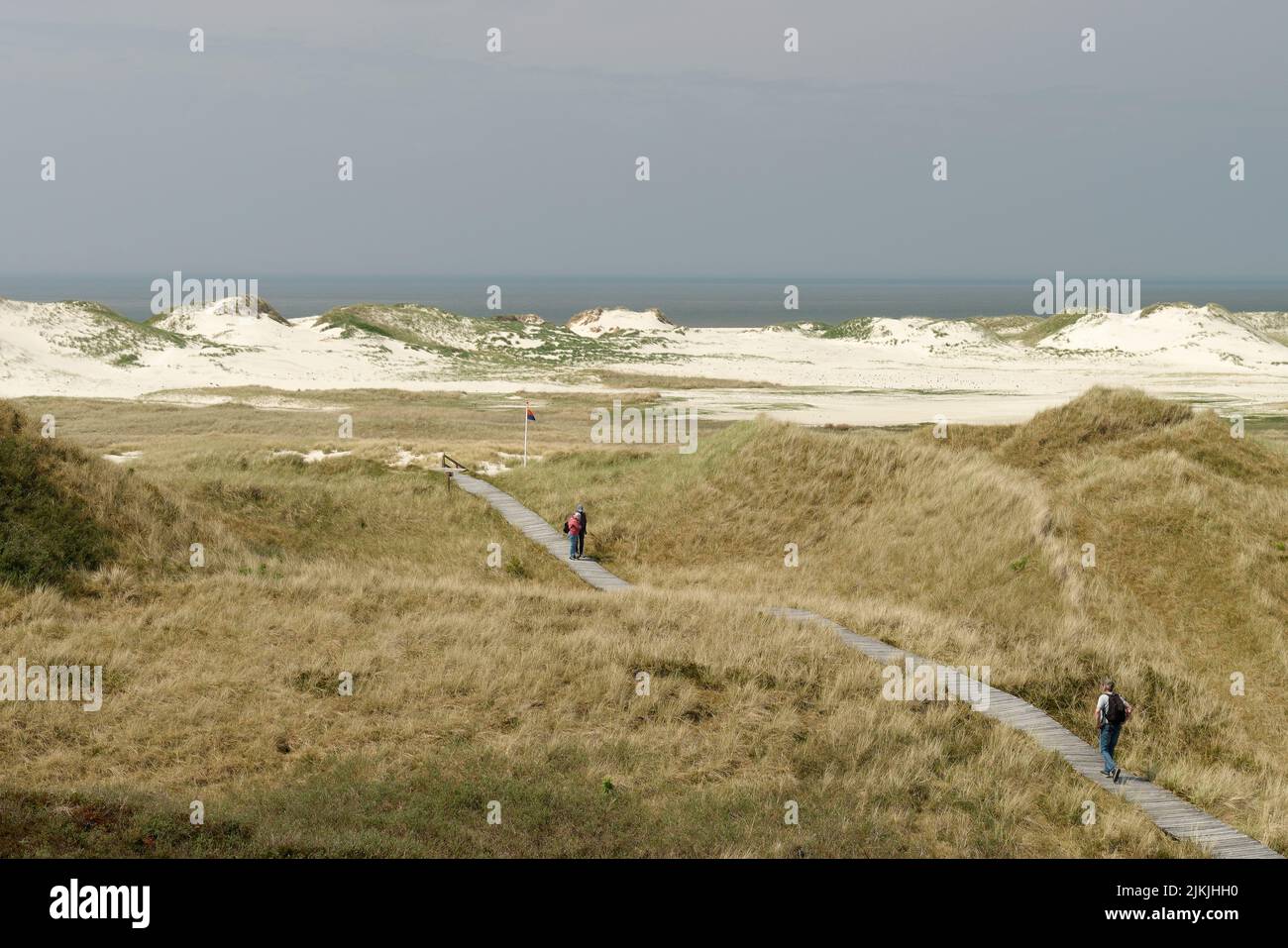 View from the Quermarkenfeuer to the dune landscape near Norddorf, Norddorf, Amrum, North Frisia, North Sea, North Frisian Islands, Wadden Sea National Park, Schleswig- Holstein Wadden Sea National Park, Schleswig-Holstein, Germany Stock Photo
