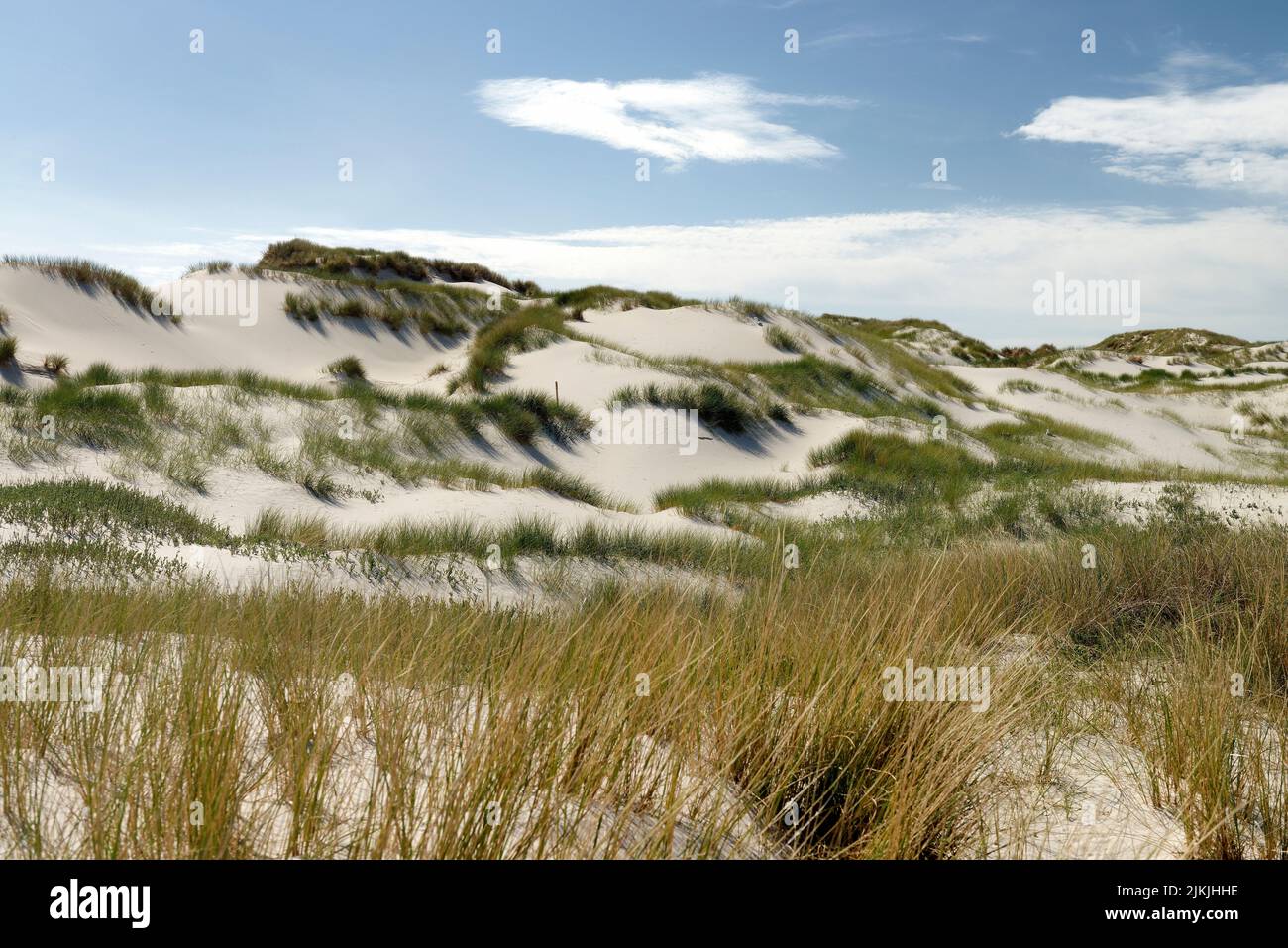 Dune landscape near Süddorf, Süddorf, Amrum, North Frisia, North Sea, North Frisian Islands, Wadden Sea National Park, Schleswig- Holstein Wadden Sea National Park, Schleswig-Holstein, Germany Stock Photo