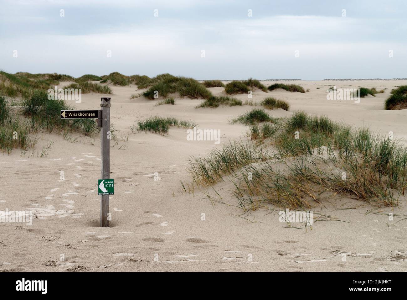 Dune landscape and knee sand near Wittdün, Wittdün, Amrum, North Frisia, North Sea, North Frisian Islands, Wadden Sea National Park, Schleswig- Holstein Wadden Sea National Park, Schleswig-Holstein, Germany Stock Photo