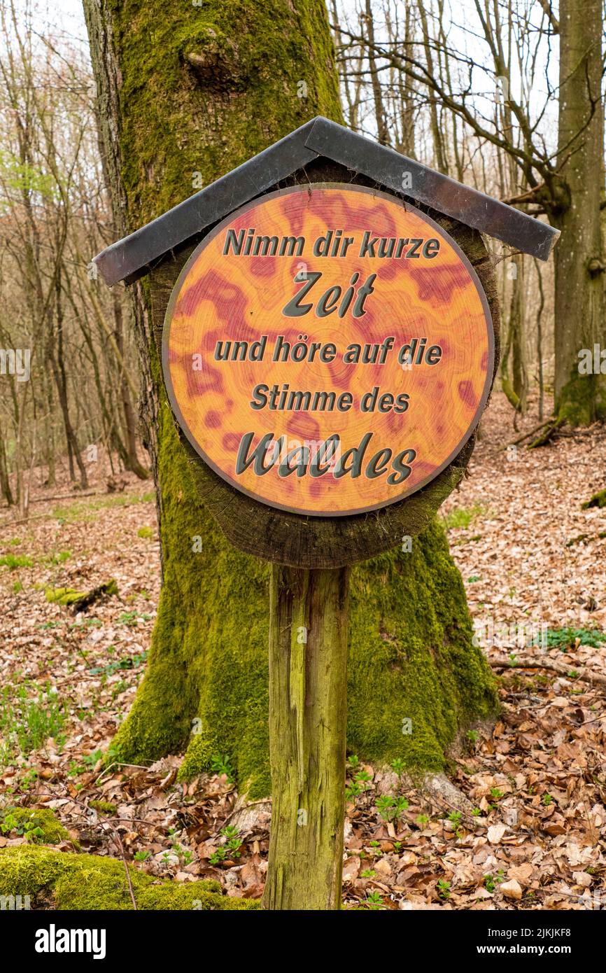 Saar-Hunsrück Traumschleife, Mannebach 111 hiking trail, Mannebach, Fisch, Saarburger Land, Rhineland-Palatinate, Germany Stock Photo