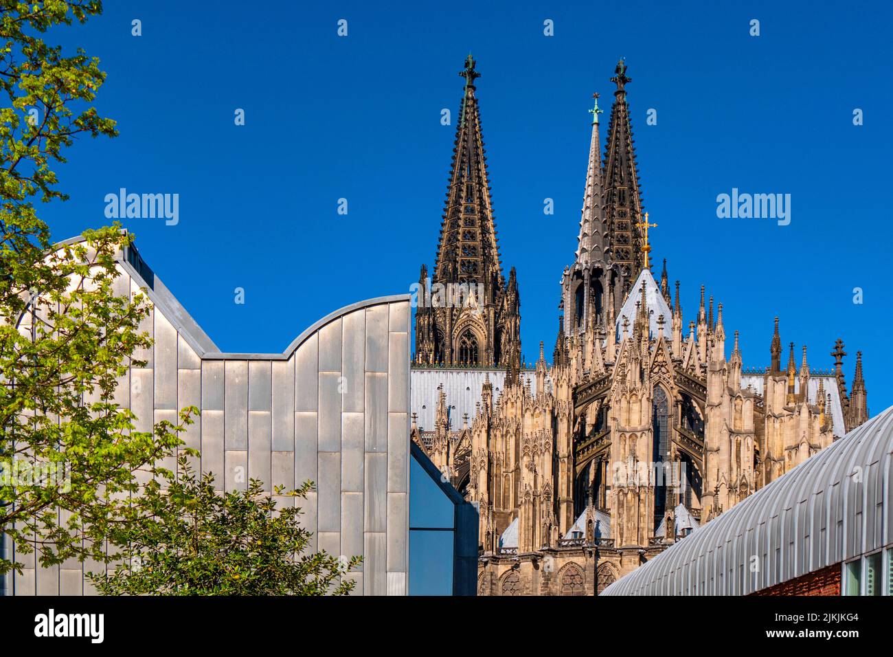 Museum Ludwig and Cathedral, Cologne, Rhine, North Rhine-Westphalia, Germany Stock Photo