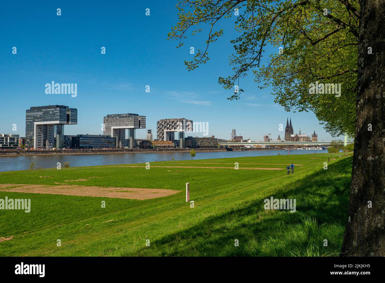 Rhine meadows with crane houses and cathedral, Cologne, Rhine, North Rhine-Westphalia, Germany Stock Photo