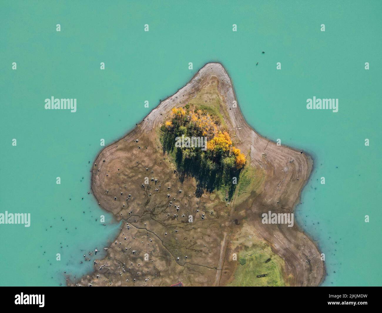 An aerial view of some trees growing on a small island surrounded by