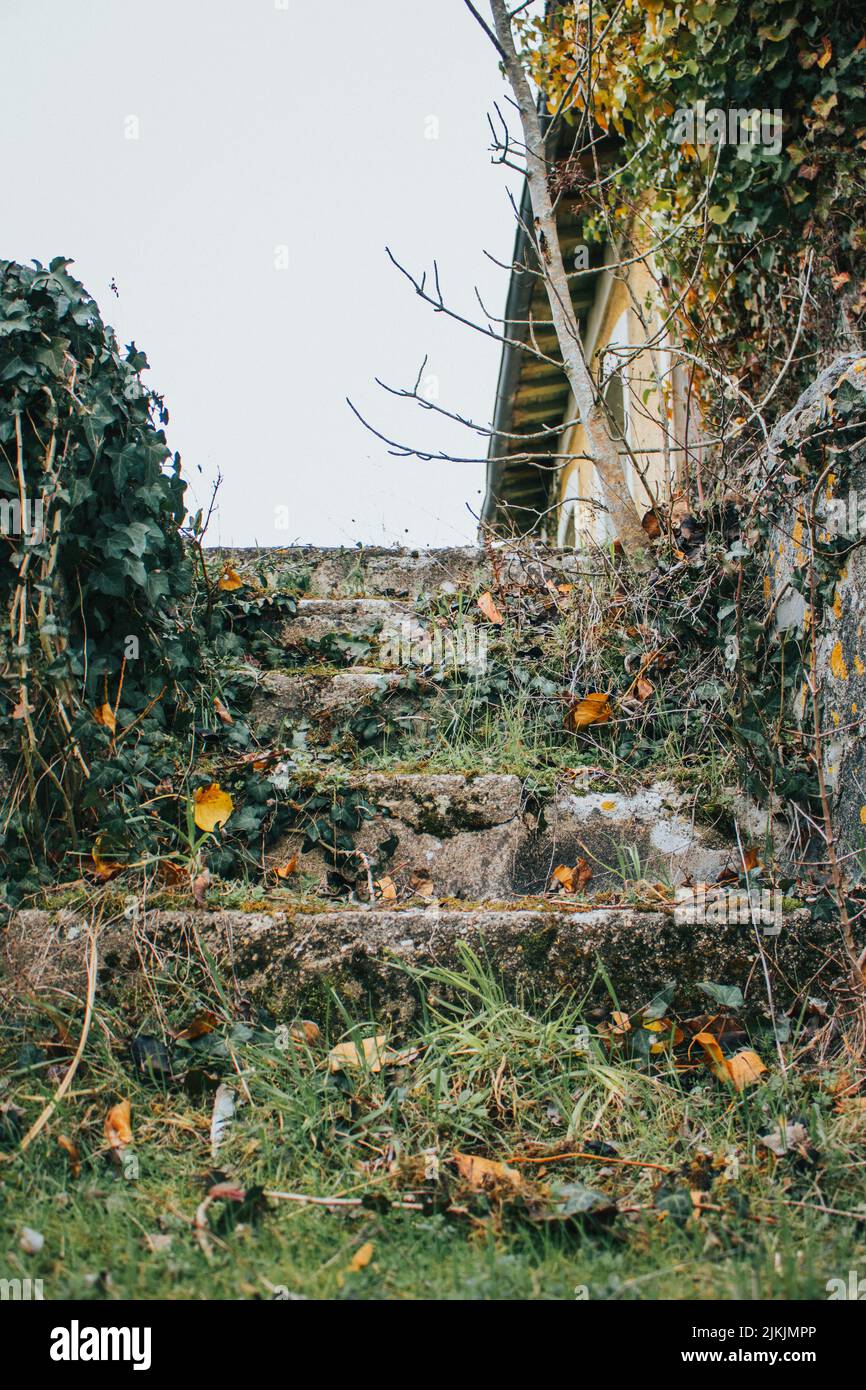 Grungy shot abandoned house hi-res stock photography and images - Alamy