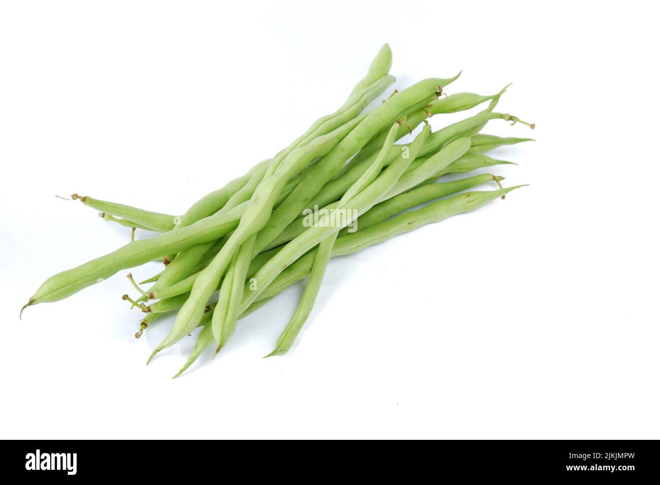 Phaseolus vulgaris or common bean on white background Stock Photo Alamy