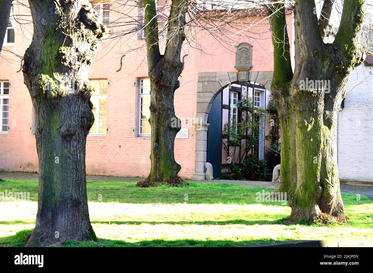 Village square with trees Stock Photo