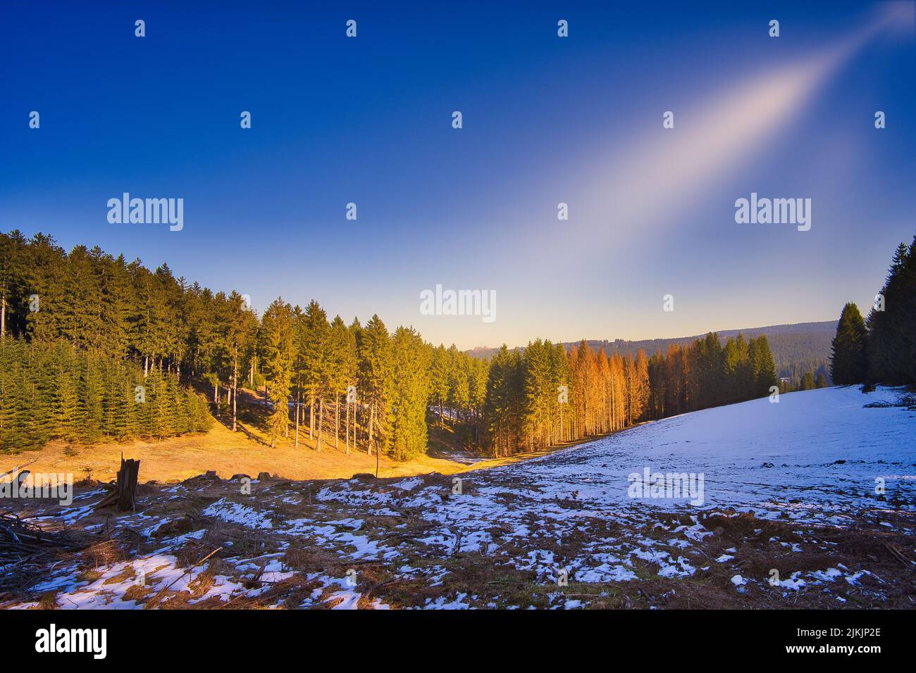 The Thuringian Forest in Germany with melting snow and tall trees with the sun rays Stock Photo