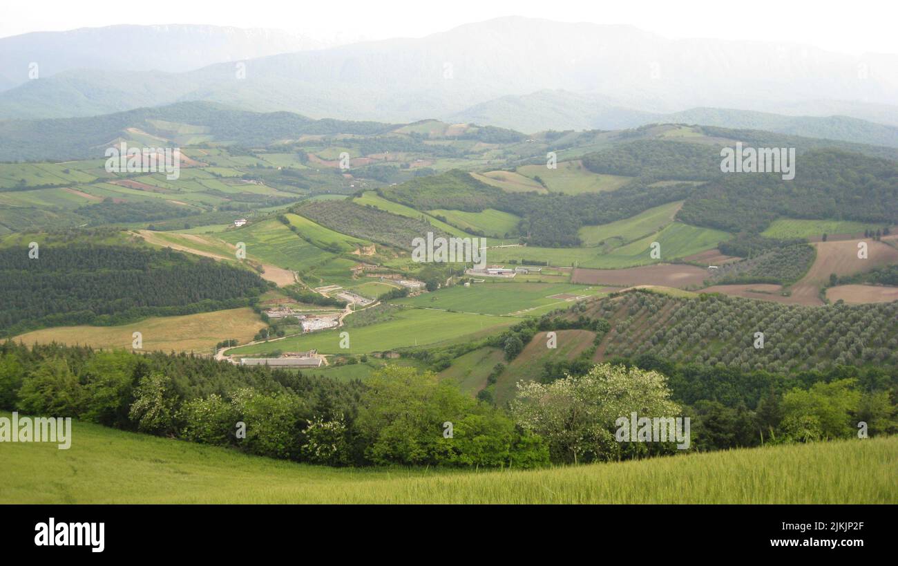 Beautiful shot fields trees hi-res stock photography and images - Alamy